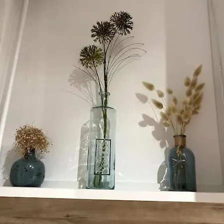 아파트 La Loge Des Mouettes Le Touquet