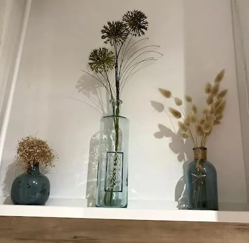 Appartement La Loge Des Mouettes Le Touquet-Paris-Plage